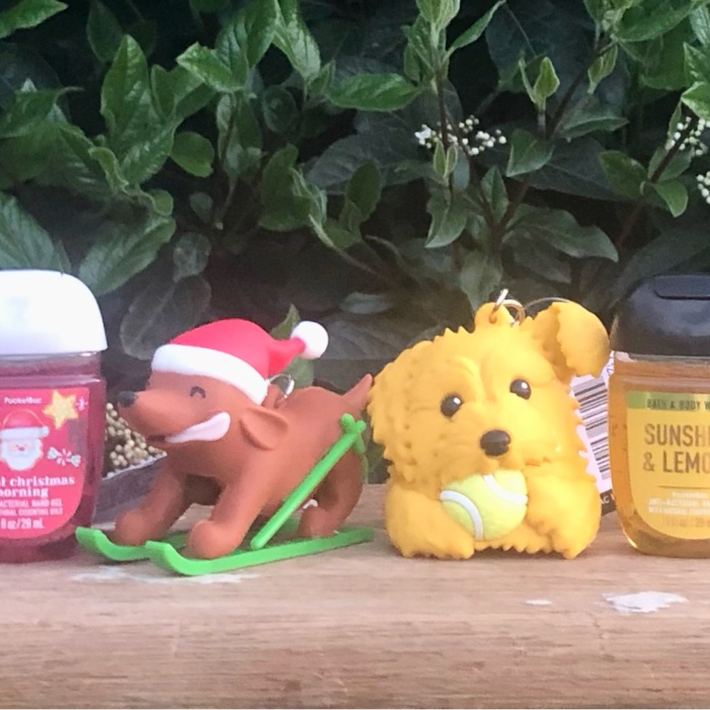 B&BW Skiing Dog & Tennis Ball Dog PocketBac 4 pc Set